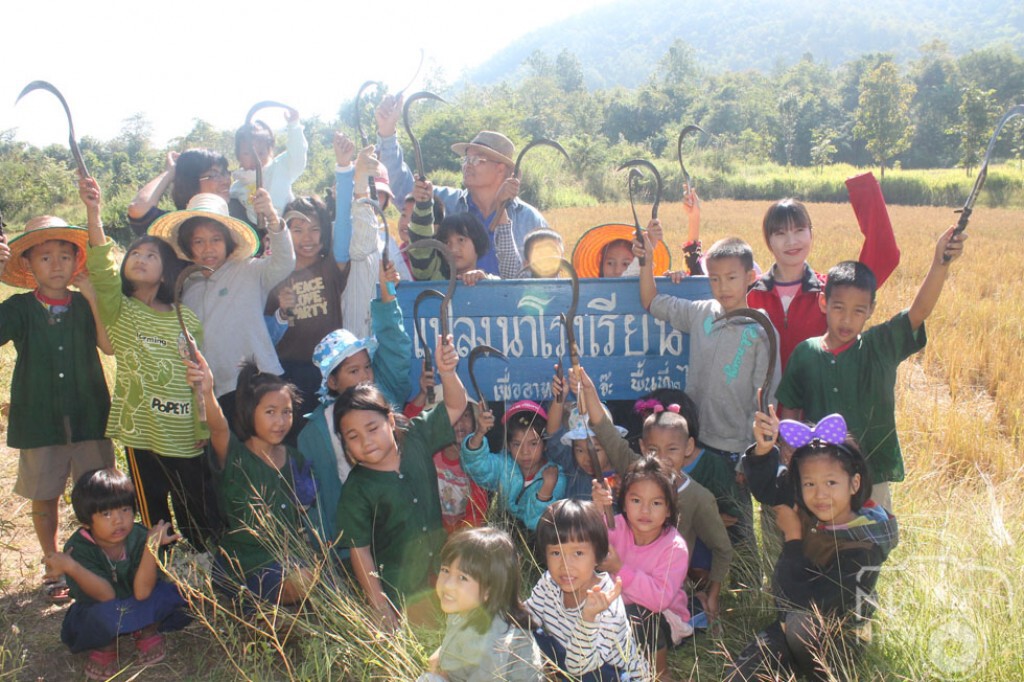 ร.ร.ผาเต่าพัฒนา ดึงชุมชน-เด็ก ร่วมปลูกข้าว-เลี้ยงสัตว์ ตามแนวเศรษฐกิจพอเพียง