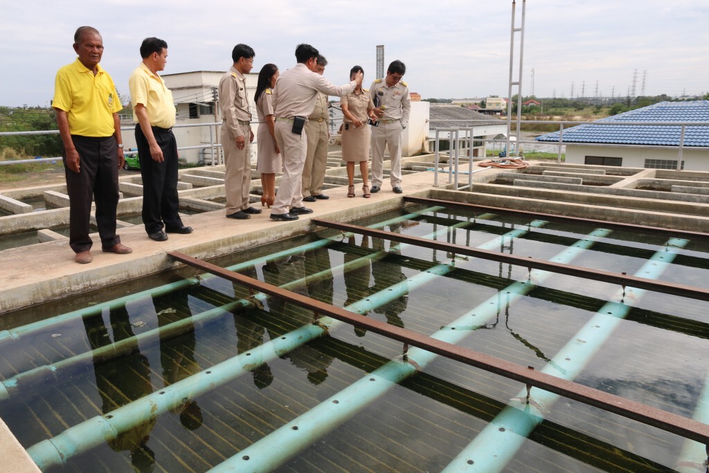 ปล่อยปลา 3 แสนตัว ฟื้นฟูลำตะคองหลังแอมโมเนียรั่วปลาตาย