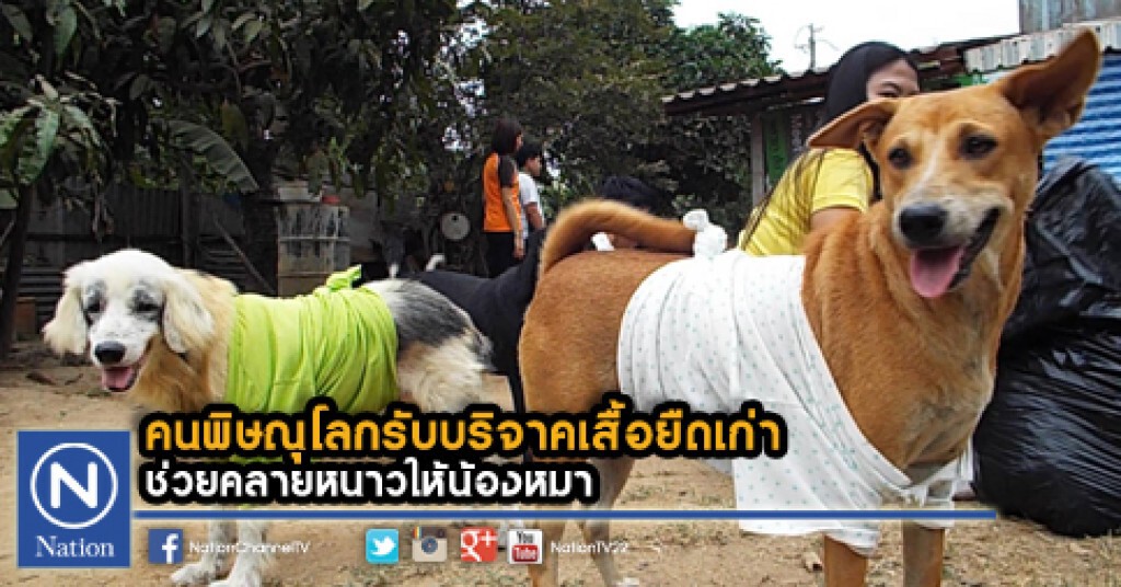 คนพิษณุโลกรับบริจาคเสื้อยืดเก่า ช่วยคลายหนาวให้น้องหมา คนพิษณุโลกรับบริจาคเสื้อยืดเก่า ช่วยคลายหนาวให้น้องหมา