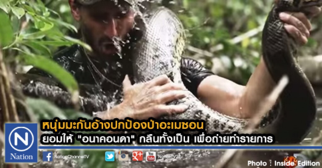 หนุ่มมะกันอ้างปกป้องป่าอะเมซอน
ยอมให้ "อนาคอนดา" กลืนทั้งเป็น เพื่อถ่ายทำรายการ หนุ่มมะกันอ้างปกป้องป่าอะเมซอน
ยอมให้ "อนาคอนดา" กลืนทั้งเป็น เพื่อถ่ายทำรายการ