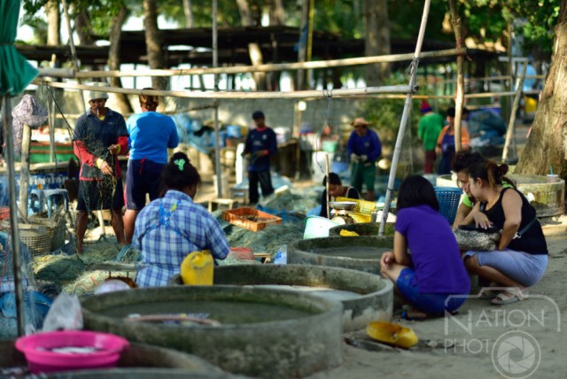 เช้าสดใส ชายหาดสวนสน