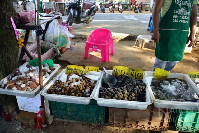 เช้าสดใส ชายหาดสวนสน
