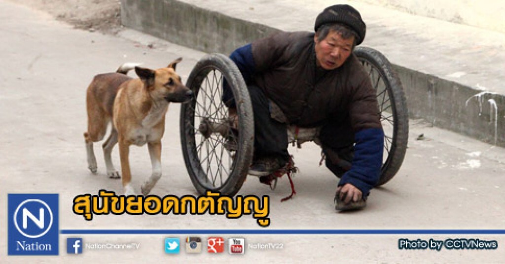 สุนัขยอดกตัญญู