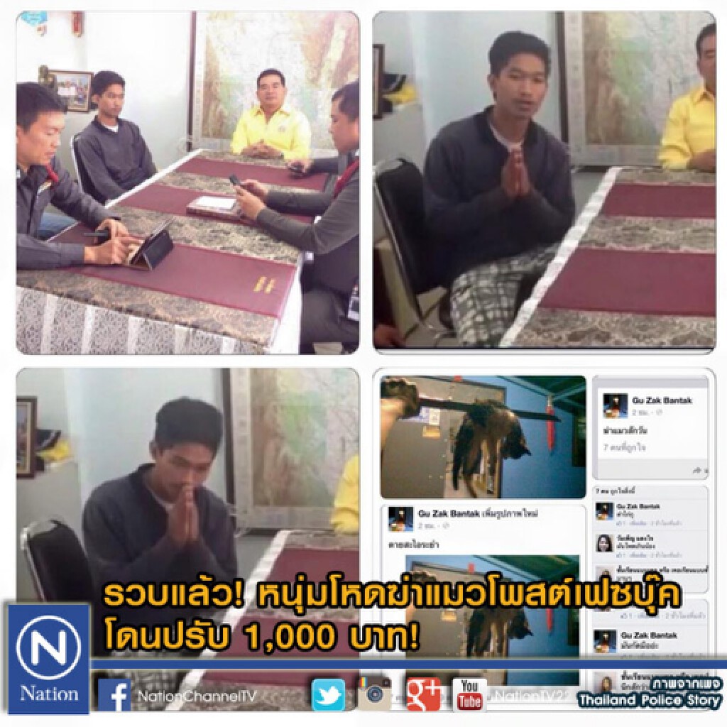 รวบแล้ว!หนุ่มโหดฆ่าแมวโพสต์เฟซบุ๊ค โดนปรับ 1,000 บาท รวบแล้ว!หนุ่มโหดฆ่าแมวโพสต์เฟซบุ๊ค โดนปรับ 1,000 บาท