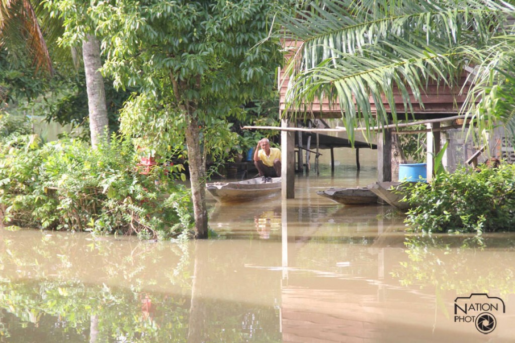 พัทลุงยังอ่วม น้ำท่วมขังที่ราบลุ่ม พัทลุงยังอ่วม น้ำท่วมขังที่ราบลุ่ม
