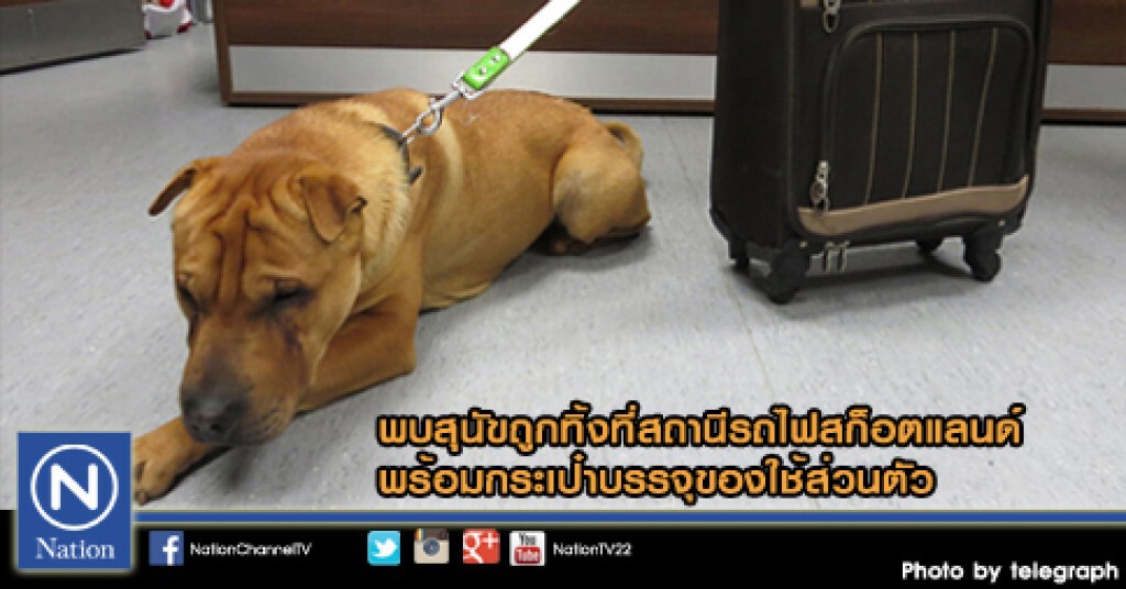 พบสุนัขถูกทิ้งที่สถานีรถไฟสก็อตแลนด์ พร้อมกระเป๋าบรรจุของใช้ส่วนตัว