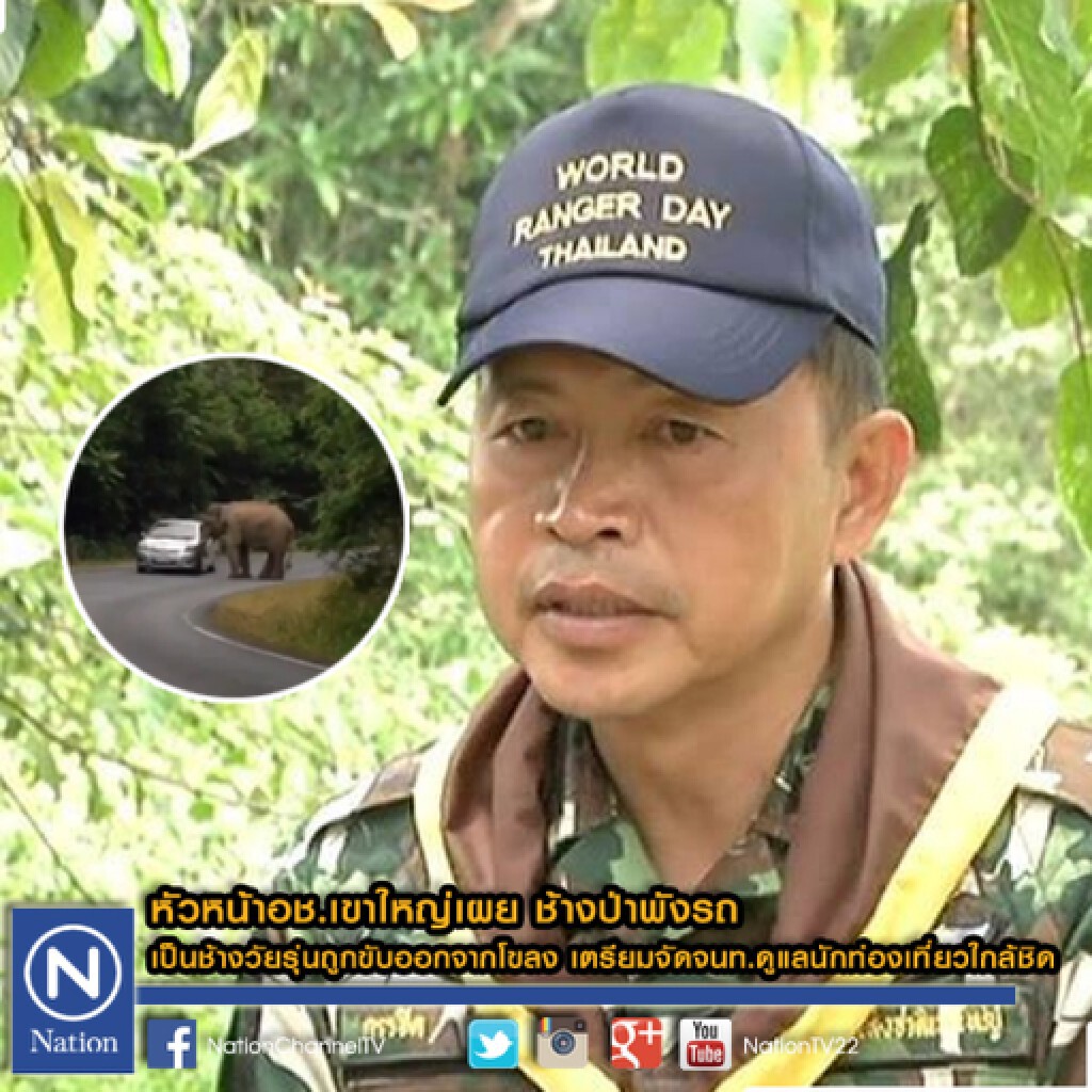 หัวหน้าอช.เขาใหญ่เผย ช้างป่าพังรถ เป็นช้างวัยรุ่นถูกขับออกจากโขลง หัวหน้าอช.เขาใหญ่เผย ช้างป่าพังรถ เป็นช้างวัยรุ่นถูกขับออกจากโขลง