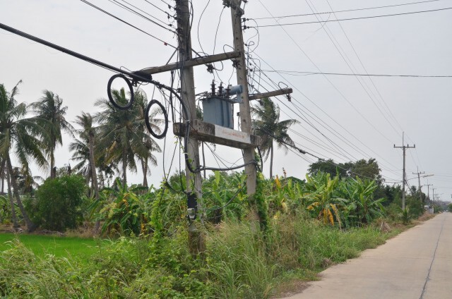 ตร.ลาดหลุมแก้วจับ 2 โจรลักตัดสายเคเบิลตอนกลางวัน