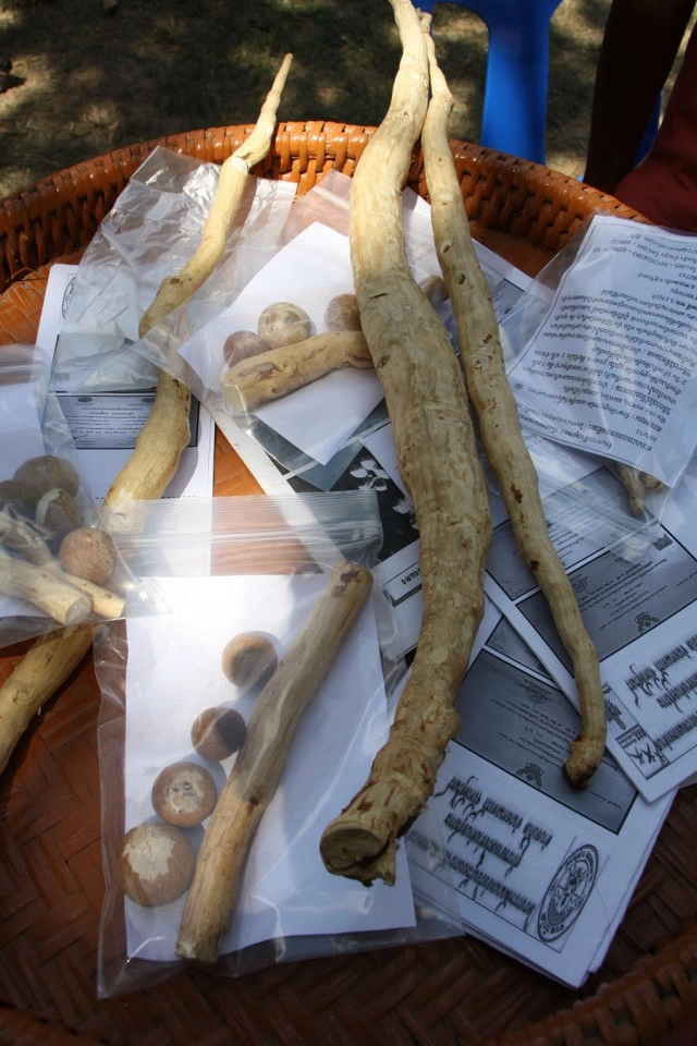 สุรินทร์ - ผู้เฒ่าวัย 72 ปีนำว่าน"โลดทะนงแดง" แก้พิษงูได้ทุกชนิด สธ.มอบใบประกอบโรคศิลป์ให้