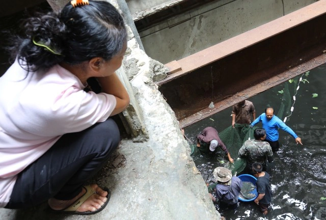 เร่งย้ายปลา 3 พันตัวจากห้าง "นิวเวิลด์"