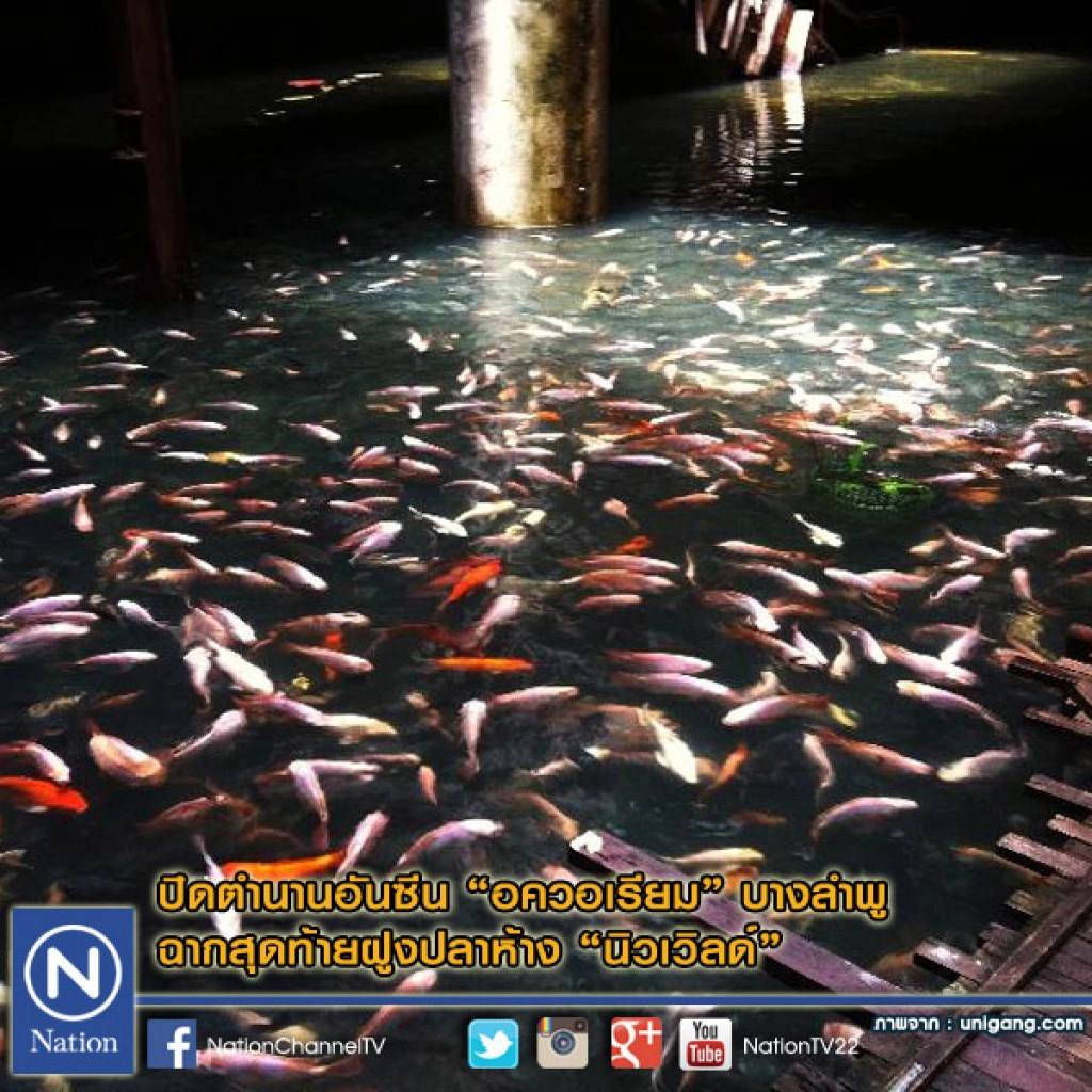 ปิดตำนานอันซีน"อควอเรียม" บางลำพู ฉากสุดท้ายฝูงปลาห้าง "นิวเวิลด์"