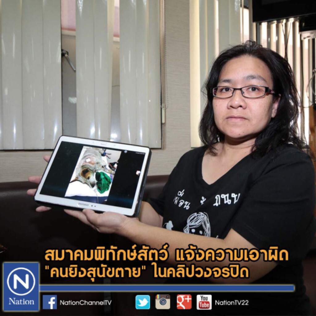 สมาคมพิทักษ์สัตว์ แจ้งความเอาผิด "คนยิงสุนัขตาย" ในคลิปวงจรปิด สมาคมพิทักษ์สัตว์ แจ้งความเอาผิด "คนยิงสุนัขตาย" ในคลิปวงจรปิด