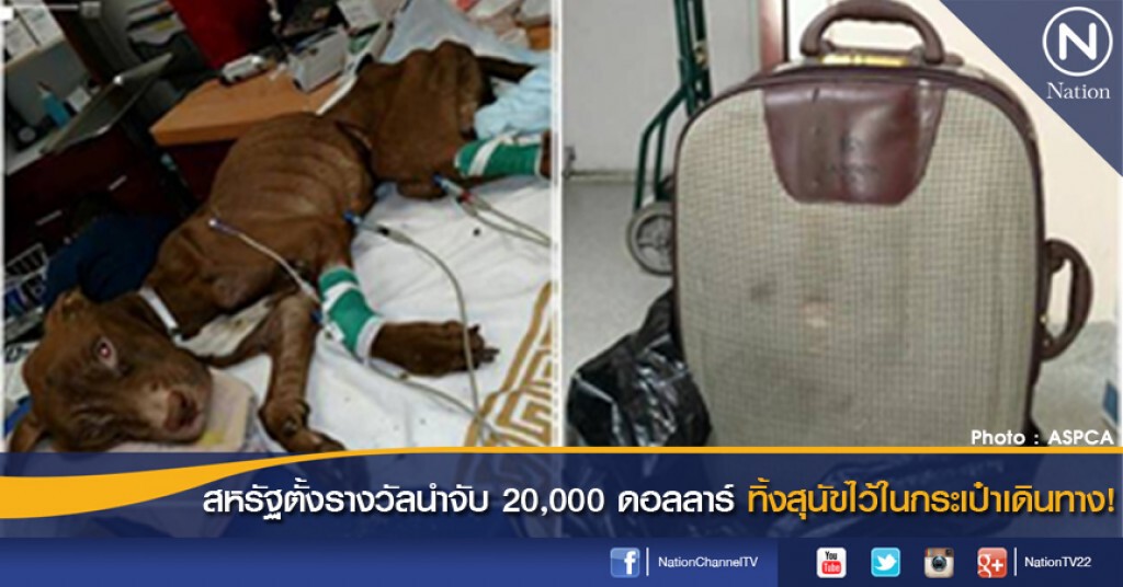 สหรัฐตั้งรางวัลนำจับ 20,000 ดอลลาร์ ทิ้งสุนัขไว้ในกระเป๋าเดินทาง! สหรัฐตั้งรางวัลนำจับ 20,000 ดอลลาร์ ทิ้งสุนัขไว้ในกระเป๋าเดินทาง!