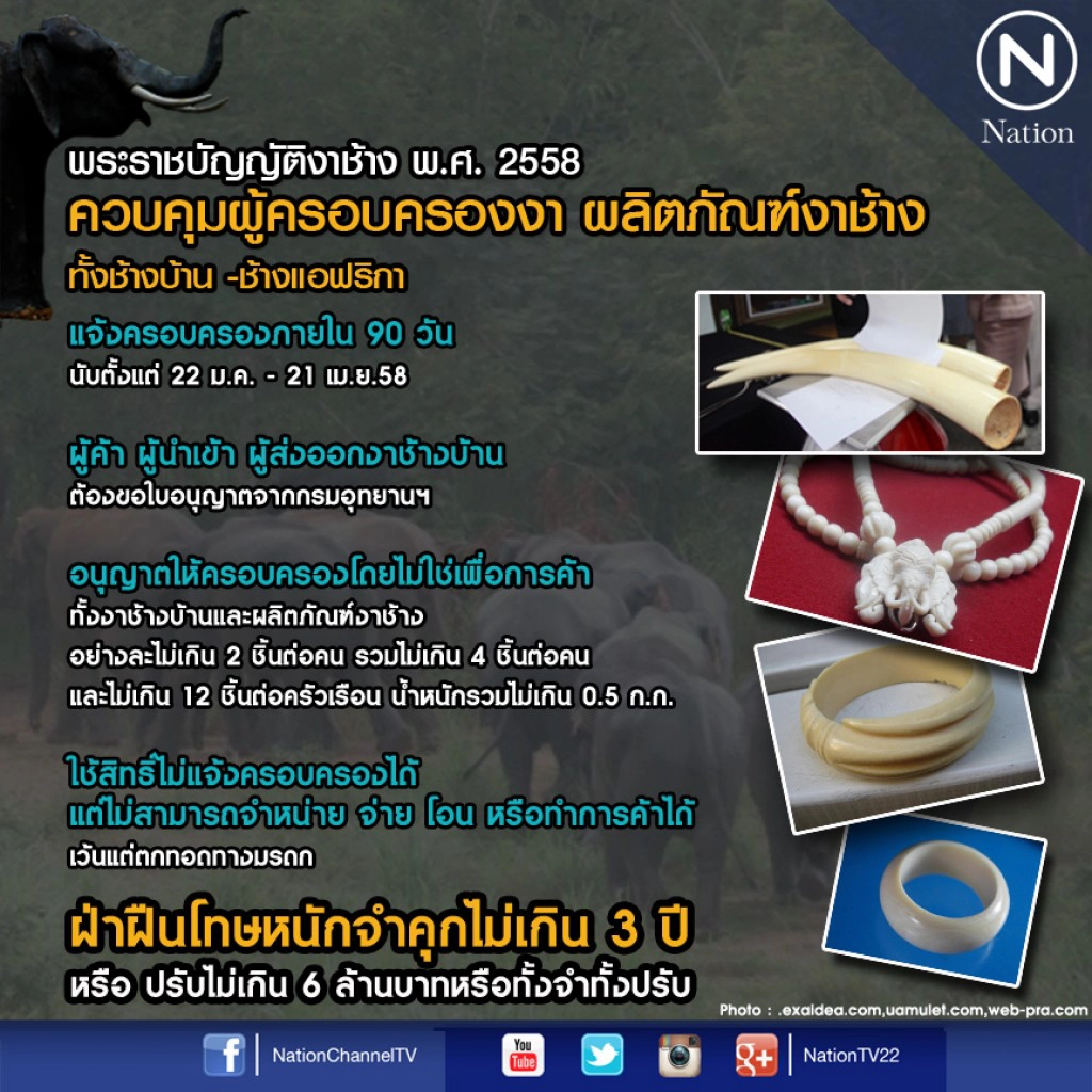"พ.ร.บ.งาช้าง" มีผลบังคับใช้แล้ว 
ผู้ครอบครองขึ้นทะเบียนภายใน 21 เม.ย. 58