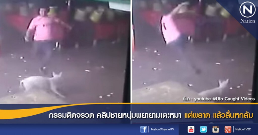 กรรมติดจรวด คลิปชายหนุ่มพยายามเตะหมา แต่พลาด แล้วลื่นหกล้ม กรรมติดจรวด คลิปชายหนุ่มพยายามเตะหมา แต่พลาด แล้วลื่นหกล้ม