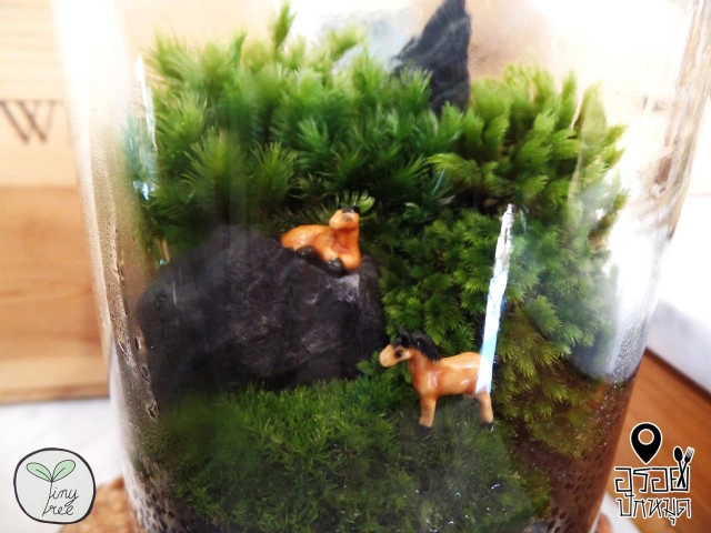 อร่อยปักหมุด : Tiny Tree Garden มินิคาเฟ่ น่ารัก รับสัปดาห์แห่งความรัก