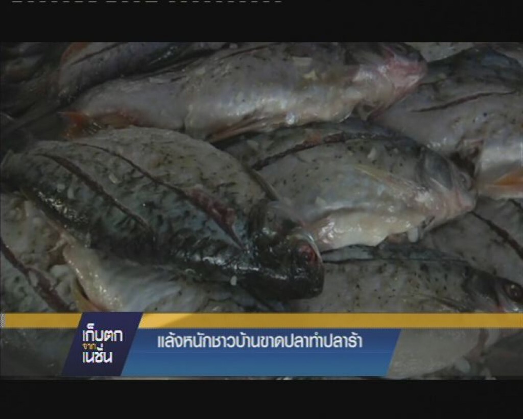 รายการ เก็บตกจากเนชั่น ภาคค่ำ : ที่ จ.ขอนแก่น แล้งหนักชาวบ้านขาดปลาทำปลาร้า รายการ เก็บตกจากเนชั่น ภาคค่ำ : ที่ จ.ขอนแก่น แล้งหนักชาวบ้านขาดปลาทำปลาร้า