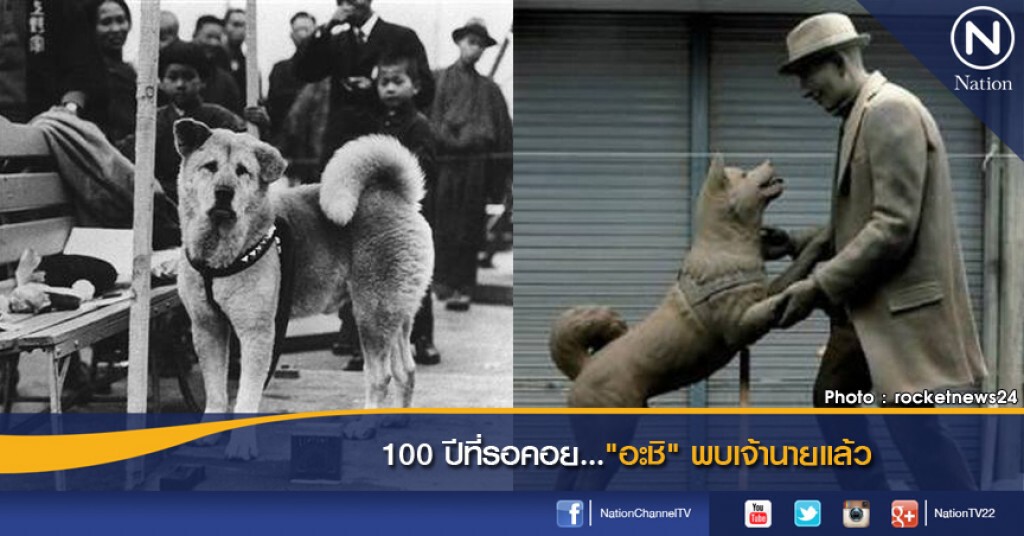 100 ปีที่รอคอย..."อะชิ" พบเจ้านายแล้ว 100 ปีที่รอคอย..."อะชิ" พบเจ้านายแล้ว