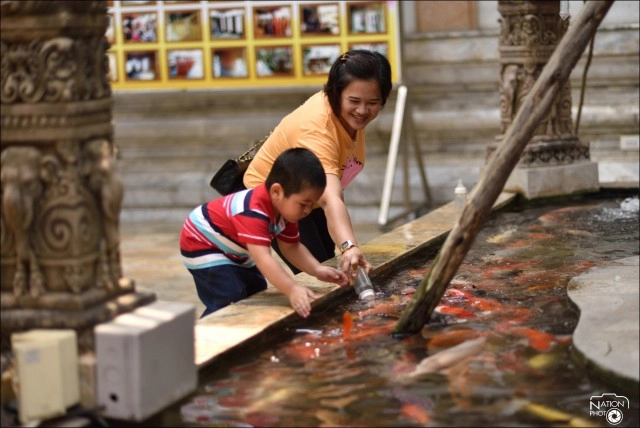 ทำบุญไหว้พระวัดไร่ขิง เสี่ยงเซียมซี ให้อาหารปลา เสริมมงคลชีวิต