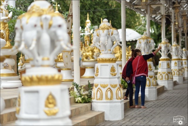 ทำบุญไหว้พระวัดไร่ขิง เสี่ยงเซียมซี ให้อาหารปลา เสริมมงคลชีวิต