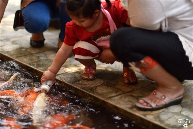 ทำบุญไหว้พระวัดไร่ขิง เสี่ยงเซียมซี ให้อาหารปลา เสริมมงคลชีวิต