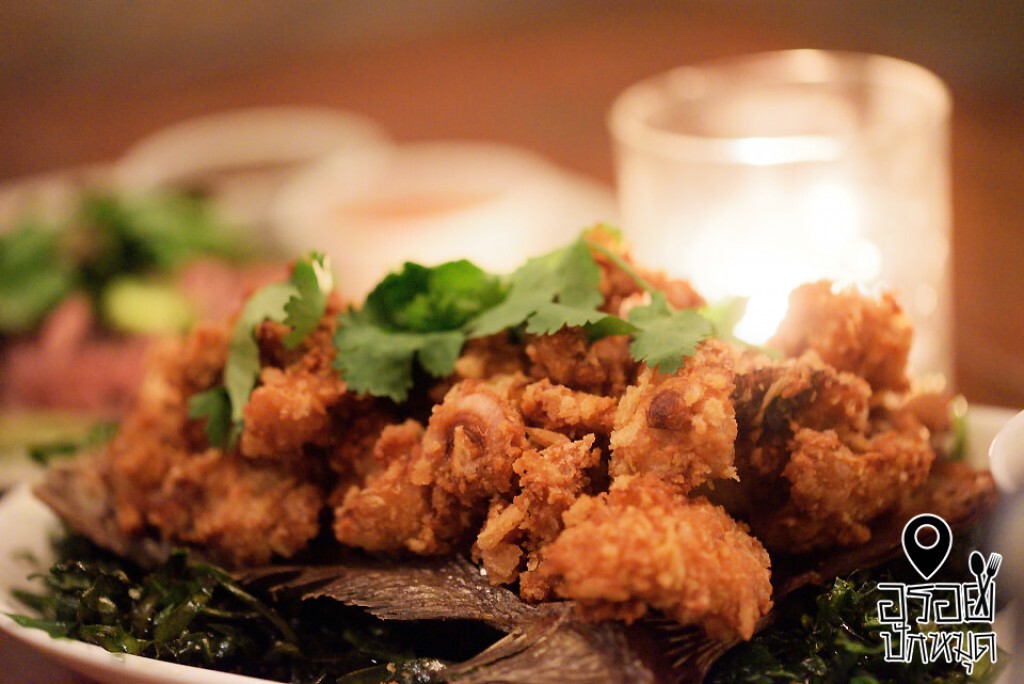 อร่อยปักหมุด : The Moose เอกมัย ร้านอารมณ์บาร์กับอาหารรสไทยแท้ที่คุณต้องแปลกใจ