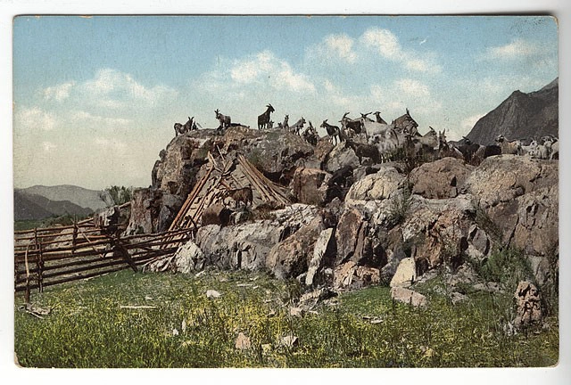 เทือกเขาอัลไตเมื่อ 100 ปีก่อน