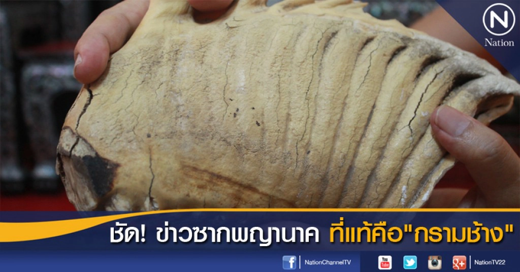 นักวิชาการระบุหงอนพญานาค คือ"กรามช้าง"