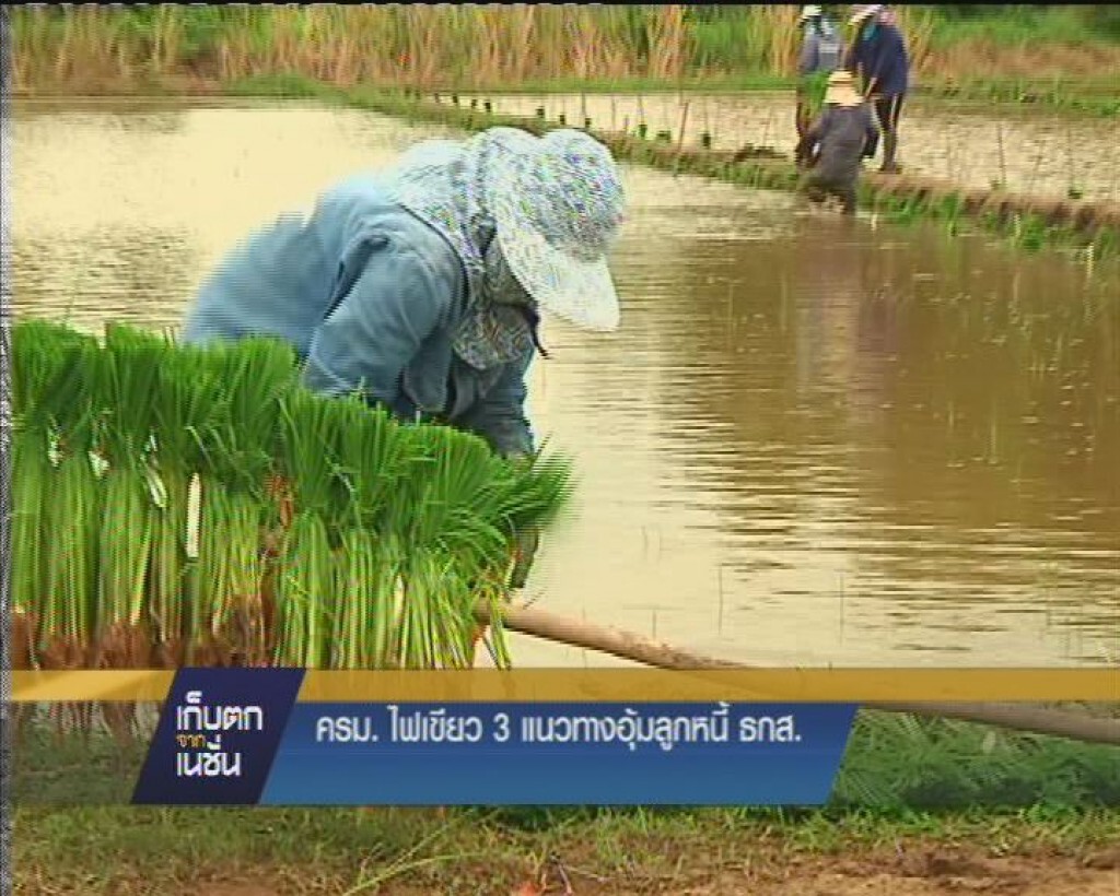 ครม.ไฟเขียว3แนวทางอุ้มลูกหนี้ ธกส.