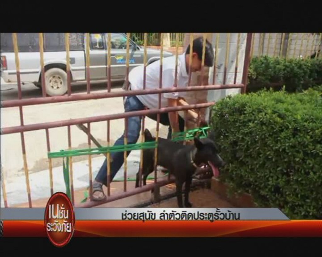 เนชั่นระวังภัย