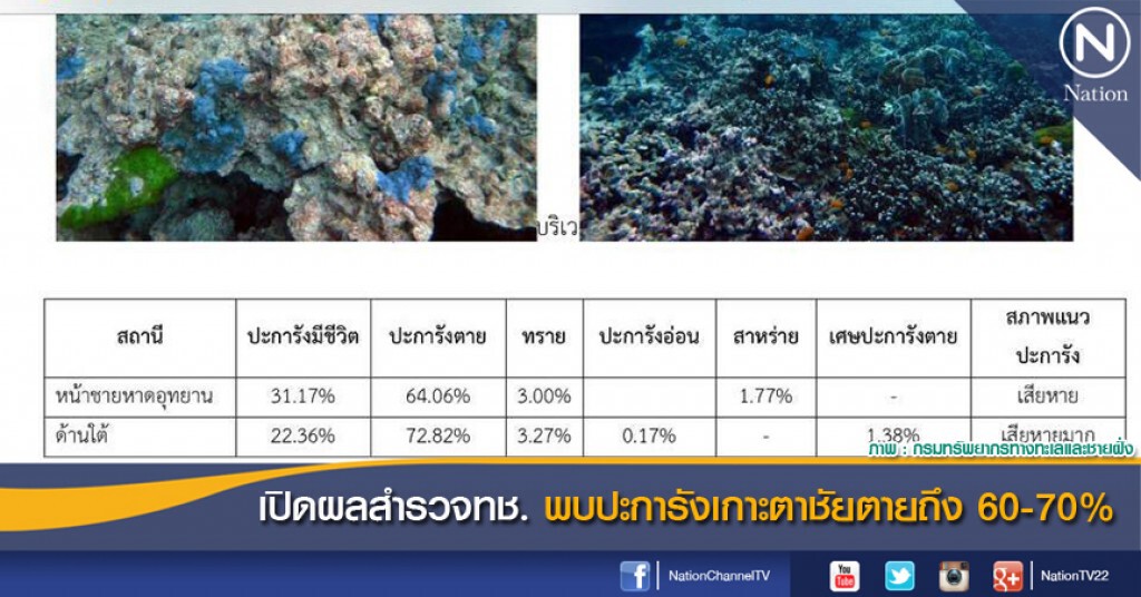 เปิดผลสำรวจทช. พบปะการังเกาะตาชัยตายถึง 60-70%