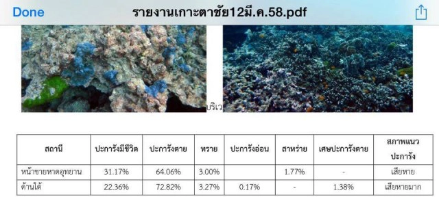 เปิดผลสำรวจทช. พบปะการังเกาะตาชัยตายถึง 60-70%