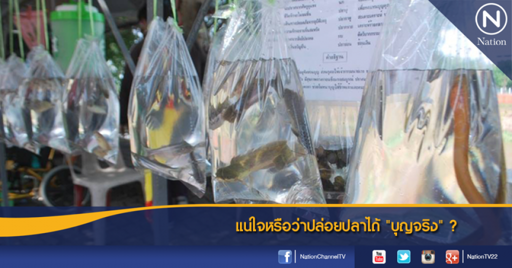 แน่ใจหรือว่าปล่อยปลาได้ "บุญจริง" ?