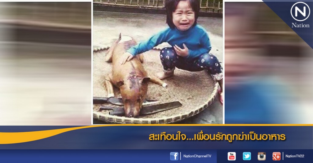 สะเทือนใจ...เพื่อนรักถูกฆ่าเป็นอาหาร สะเทือนใจ...เพื่อนรักถูกฆ่าเป็นอาหาร