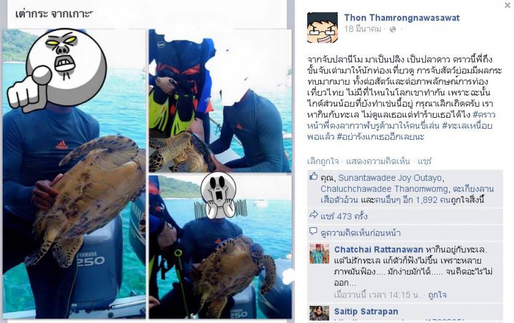 อุทยานฯหมู่เกาะลันตาปรับ 500 ไกด์จับเต่าโชว์