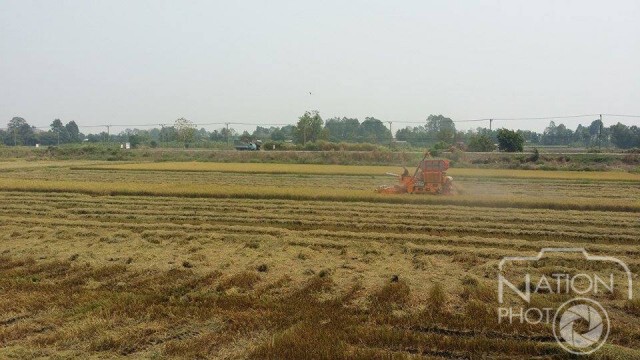ชาวนาพิจิตรเร่งเกี่ยวข้าวหนีพายุฤดูร้อน