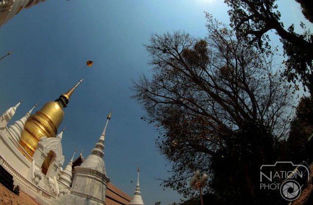 ศุกร์ (สุข)ละวัด วันนี้ขอเสนอ "วัดสวนดอก"