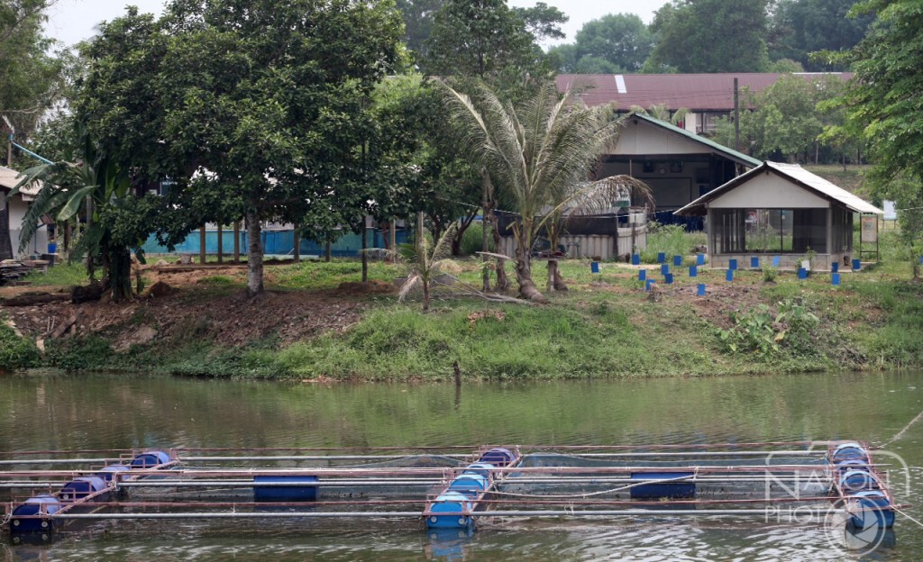 ศูนย์การเรียนรู้เศรษฐกิจพอเพียง อ.บ่อไร่ จ.ตราด ศูนย์การเรียนรู้เศรษฐกิจพอเพียง อ.บ่อไร่ จ.ตราด