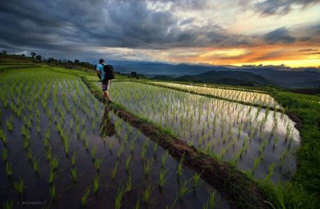 Lifestyle 2 Lifester  :  ฝันของเขาและเธอ กับฝันของเรา