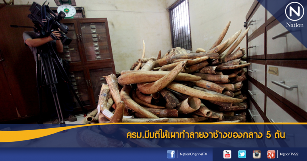 ครม.มีมติให้เผาทำลายงาช้างของกลาง 5 ตัน ครม.มีมติให้เผาทำลายงาช้างของกลาง 5 ตัน