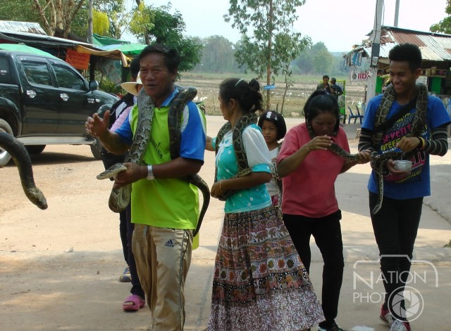 บ้านงูจงอางคึกคัก เปิดถนน"คนงูเล่นสงกรานต์"