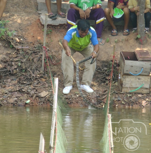 บ้านงูจงอางคึกคัก เปิดถนน"คนงูเล่นสงกรานต์"