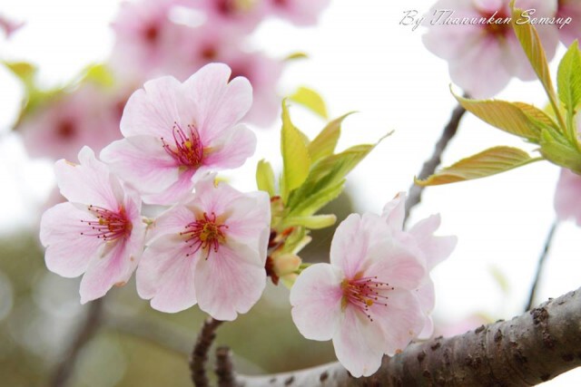 Lifestyle 2 lifester : เพราะมากความสามารถ จึงมั่นใจ