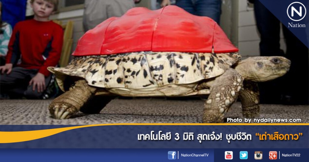 เทคโนโลยี 3 มิติ สุดเจ๋ง! ชุบชีวิต "เต่าเสือดาว" เทคโนโลยี 3 มิติ สุดเจ๋ง! ชุบชีวิต "เต่าเสือดาว"