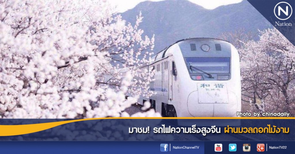 มาชม! รถไฟความเร็งสูงจีน ผ่านมวลดอกไม้งาม มาชม! รถไฟความเร็งสูงจีน ผ่านมวลดอกไม้งาม