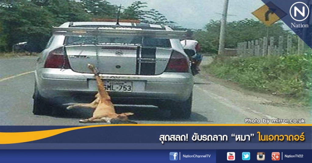สุดสลด! ขับรถลาก "หมา" ในเอกวาดอร์