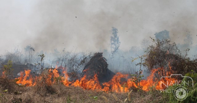 ชัยภูมิเอาจริง ขึ้นทะเบียนโซนห้ามเผาทุ่งข้าวโพด