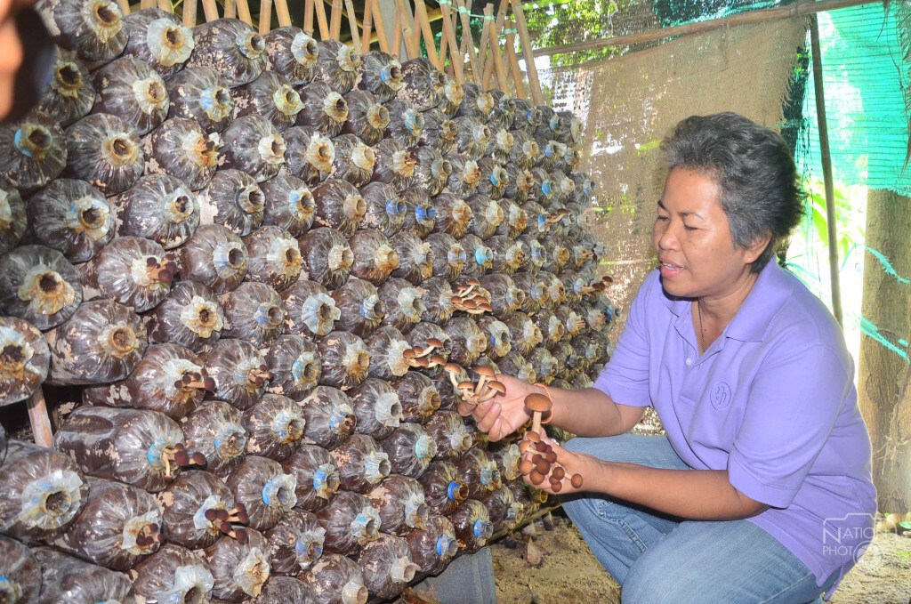ชาวลาดหลุมแก้วเปิดฟาร์มเห็ด ศูนย์เรียนรู้ตามแนวเศรษฐกิจพอเพียง