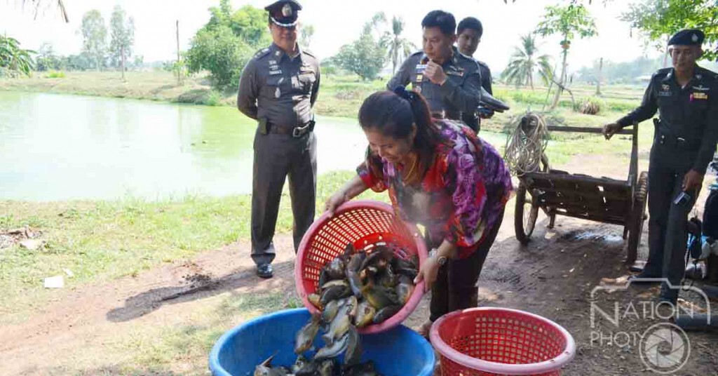 กาฬสินธุ์-ประมงยันปลาหมอยักษ์เป็นของฟาร์มเมืองน้ำดำ กาฬสินธุ์-ประมงยันปลาหมอยักษ์เป็นของฟาร์มเมืองน้ำดำ