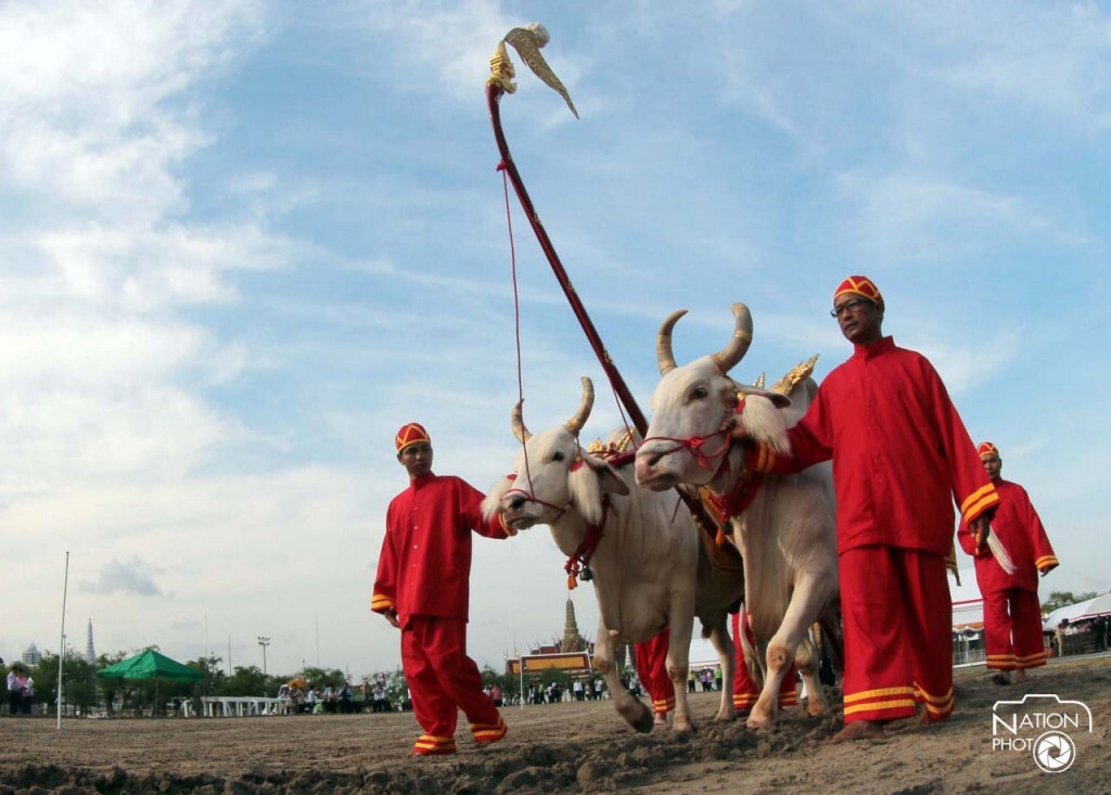ซ้อมใหญ่ครั้งสุดท้าย งานพระราชพิธีพืชมงคลจรดพระนังคัลแรกนาขวัญ ซ้อมใหญ่ครั้งสุดท้าย งานพระราชพิธีพืชมงคลจรดพระนังคัลแรกนาขวัญ